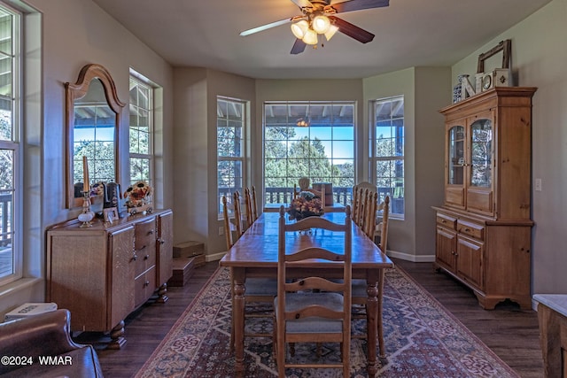 dining area with dark wood-style flooring, plenty of natural light, and baseboards