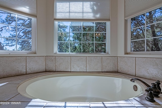 bathroom featuring a wealth of natural light