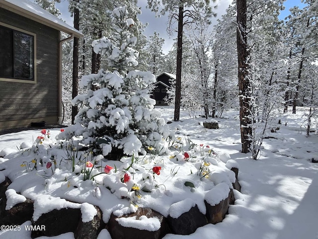 1290 W Big Springs Trl, Lakeside, AZ 85929 - photo 56