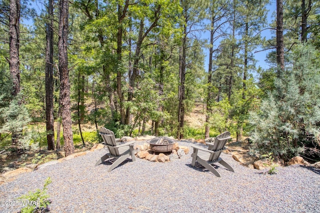 1290 W Big Springs Trl, Lakeside, AZ 85929 - photo 22