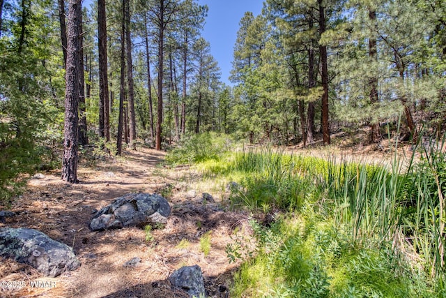 1290 W Big Springs Trl, Lakeside, AZ 85929 - photo 19