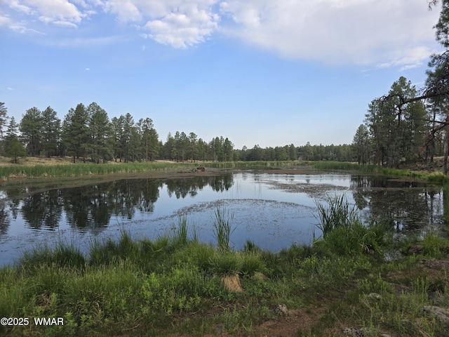 1290 W Big Springs Trl, Lakeside, AZ 85929 - photo 50