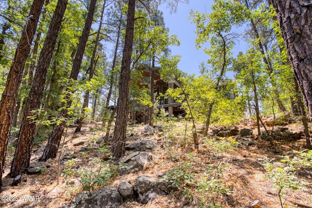 1290 W Big Springs Trl, Lakeside, AZ 85929 - photo 24