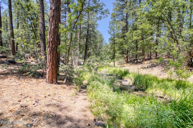 1290 W Big Springs Trl, Lakeside, AZ 85929 - photo 18