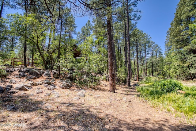 1290 W Big Springs Trl, Lakeside, AZ 85929 - photo 23