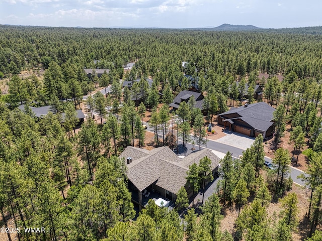 1290 W Big Springs Trl, Lakeside, AZ 85929 - photo 6