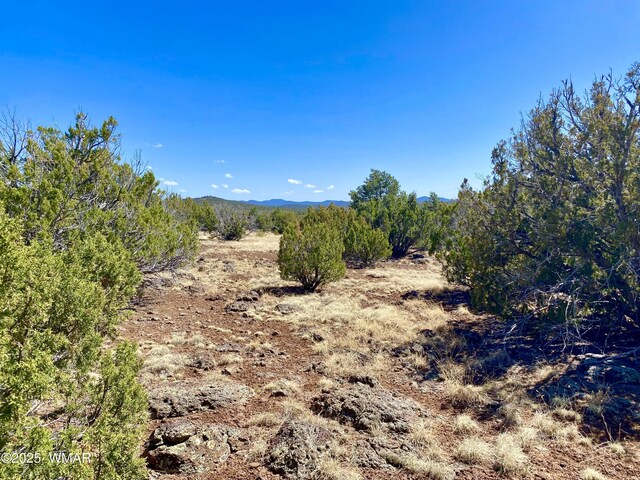 74 County Road 8056, Concho, AZ 85924 - photo 11