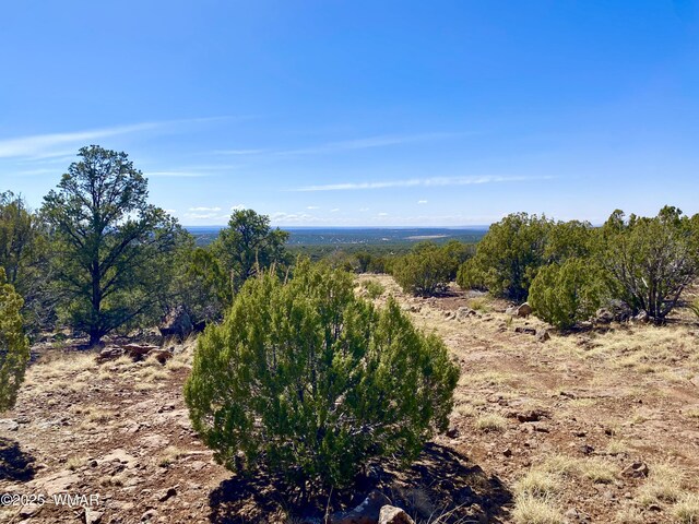 74 County Road 8056, Concho, AZ 85924 - photo 6