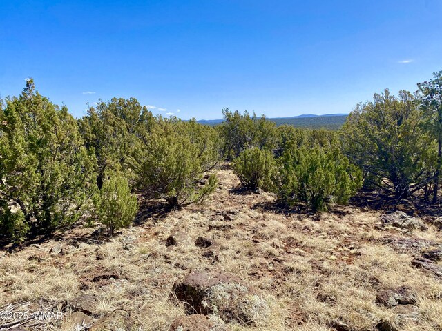 74 County Road 8056, Concho, AZ 85924 - photo 12