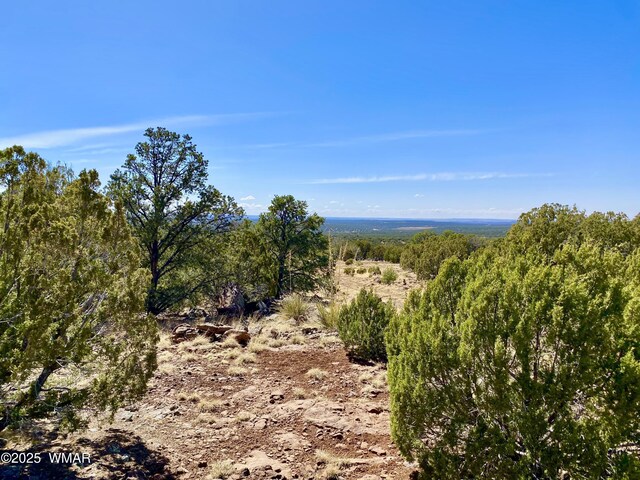 74 County Road 8056, Concho, AZ 85924 - photo 19