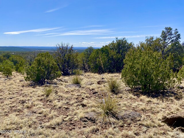 74 County Road 8056, Concho, AZ 85924 - photo 17
