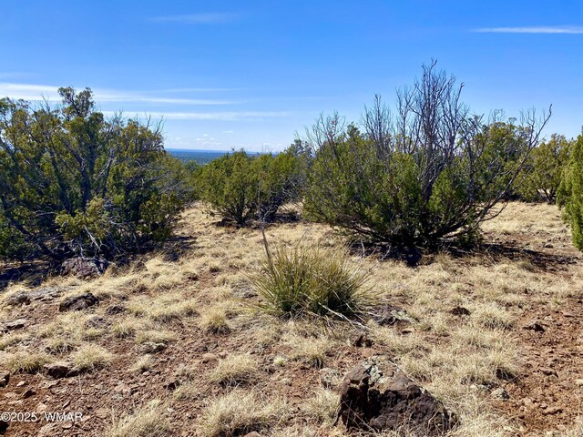 74 County Road 8056, Concho, AZ 85924 - photo 14