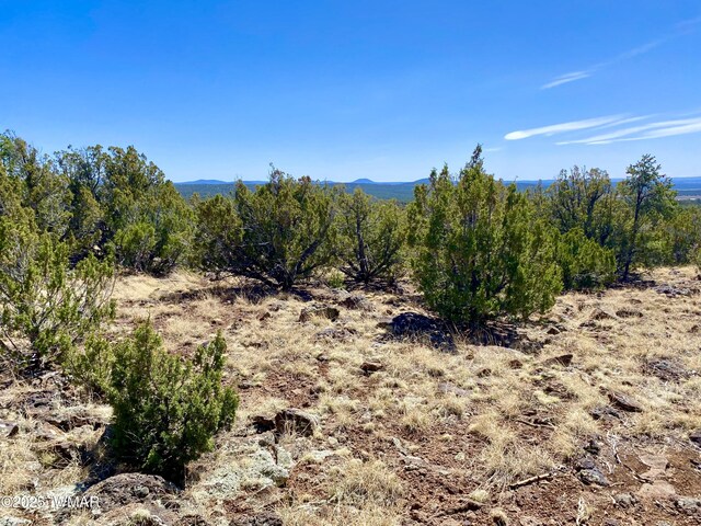 74 County Road 8056, Concho, AZ 85924 - photo 10