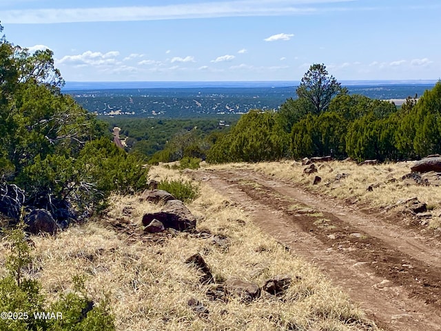 74 County Road 8056, Concho, AZ 85924 - photo 1