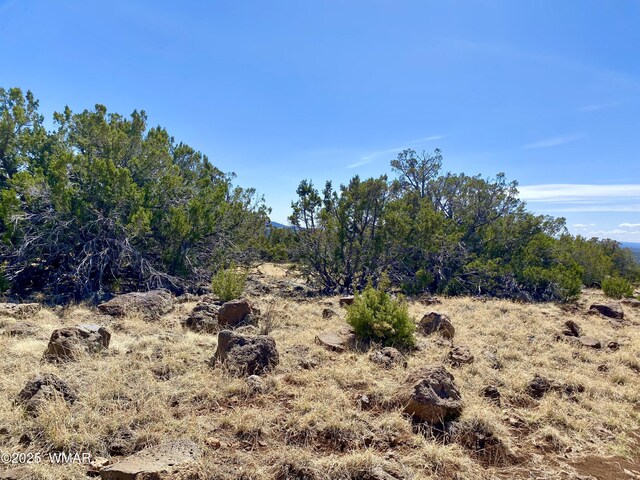 74 County Road 8056, Concho, AZ 85924 - photo 8