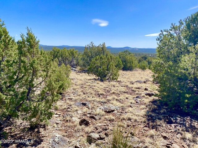 74 County Road 8056, Concho, AZ 85924 - photo 15