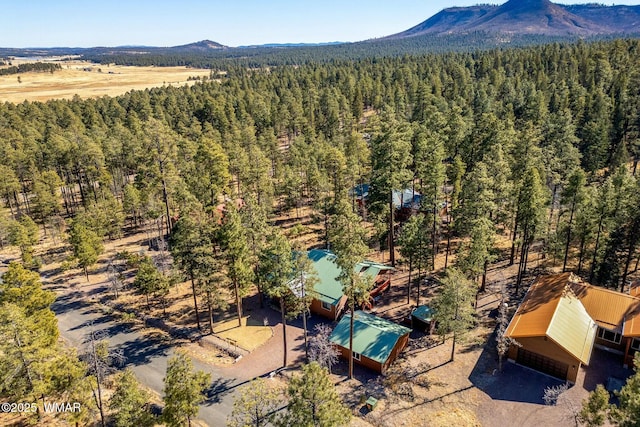 drone / aerial view featuring a wooded view and a mountain view