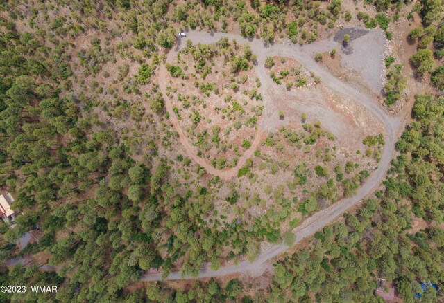 TBD Jacks Ln, Parcel Pinetop, AZ 85935 - photo 6