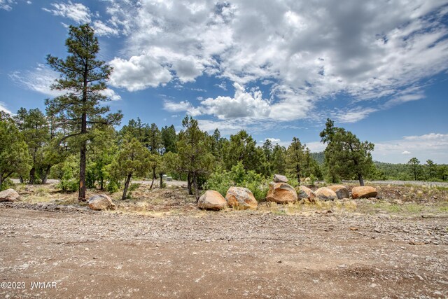 TBD Jacks Ln, Parcel Pinetop, AZ 85935 - photo 10