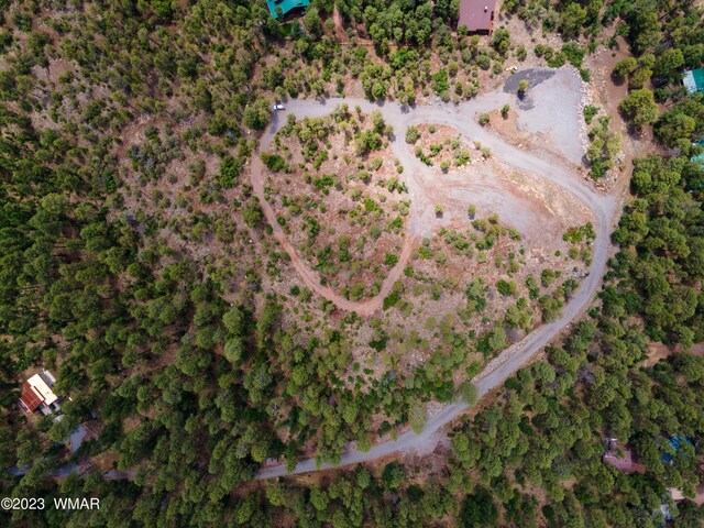 TBD Jacks Ln, Parcel Pinetop, AZ 85935 - photo 4