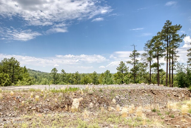 TBD Jacks Ln, Parcel Pinetop, AZ 85935 - photo 12