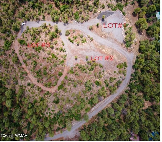 TBD Jacks Ln, Parcel Pinetop, AZ 85935 - photo 5