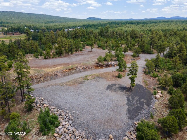 TBD Jacks Ln, Parcel Pinetop, AZ 85935 - photo 8