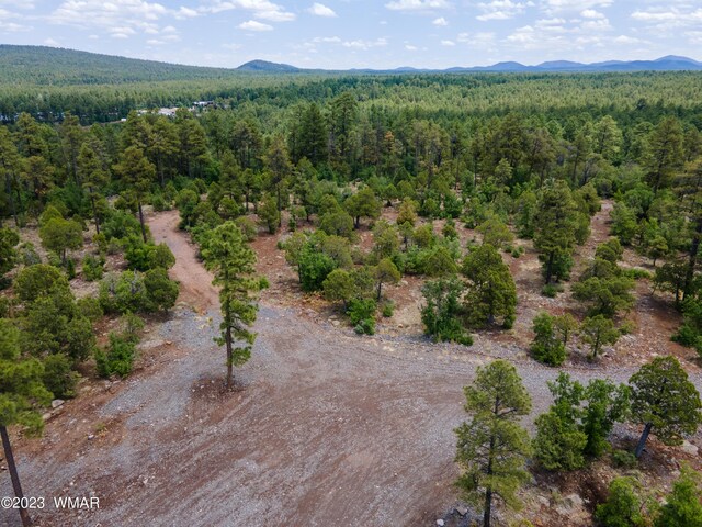 TBD Jacks Ln, Parcel Pinetop, AZ 85935 - photo 9