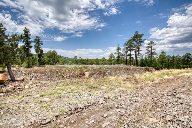 TBD Jacks Ln, Parcel Pinetop, AZ 85935 - photo 11