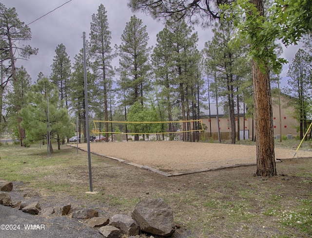 6436 Mark Twain Dr, Pinetop, AZ 85935 - surrounding community featuring volleyball court