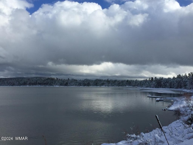 6436 Mark Twain Dr, Pinetop, AZ 85935 - water view with a heavily wooded area