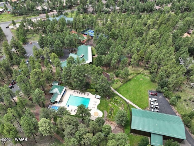 6436 Mark Twain Dr, Pinetop, AZ 85935 - drone / aerial view of a pool