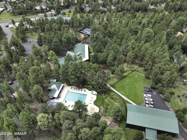 6436 Mark Twain Dr, Pinetop, AZ 85935 - bird's eye view of a pool area