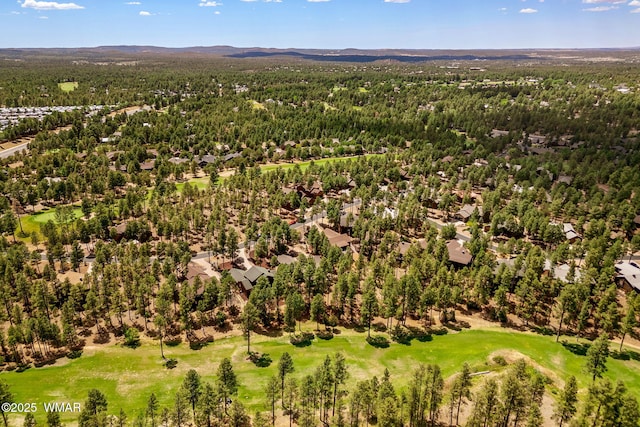 281 N Retreat Way, Show Low, AZ 85901 - photo 42