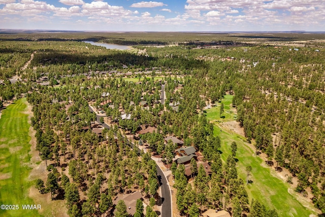 281 N Retreat Way, Show Low, AZ 85901 - photo 43