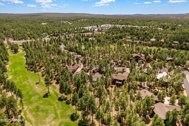 281 N Retreat Way, Show Low, AZ 85901 - photo 41