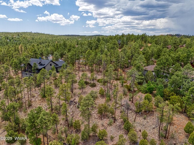 1280 Pine Oaks Dr, Show Low, AZ 85901 - photo 7