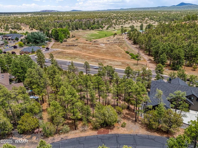 1280 Pine Oaks Dr, Show Low, AZ 85901 - photo 5