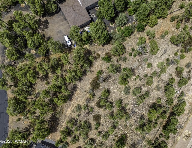 1280 Pine Oaks Dr, Show Low, AZ 85901 - photo 4