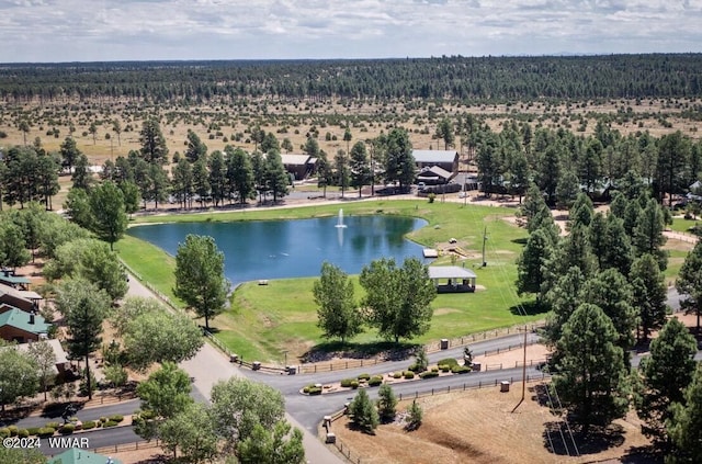 bird's eye view with a water view and a wooded view
