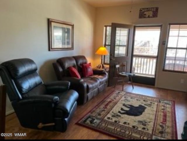 living area featuring wood finished floors