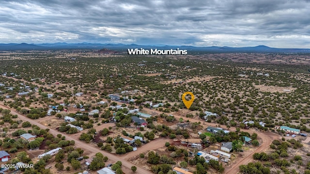 8429 Snowflake Cir, Show Low, AZ 85901 - photo 1