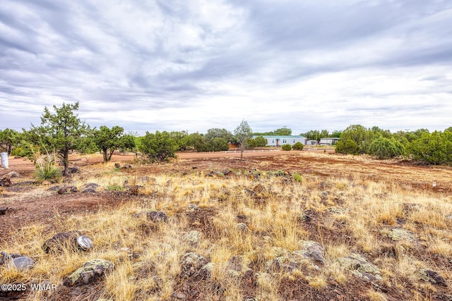 8429 Snowflake Cir, Show Low, AZ 85901 - photo 12