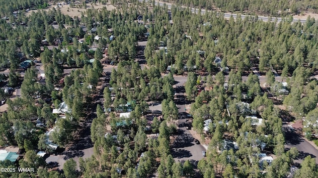 720 S 26th Ave, Show Low, AZ 85901 - view of property location with a heavily wooded area
