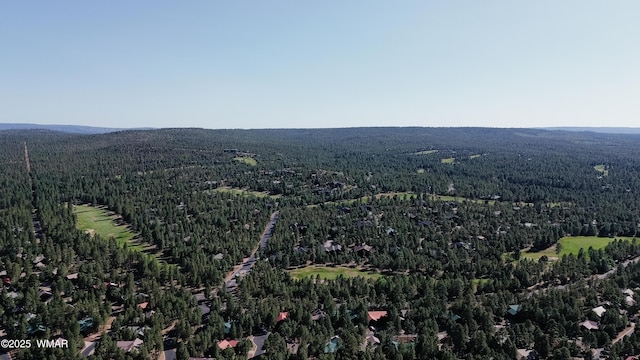 720 S 26th Ave, Show Low, AZ 85901 - aerial view of property's location with a heavily wooded area