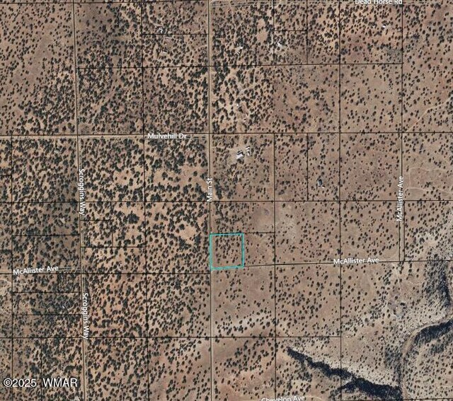 1824 Mcallister Ave, Heber, AZ 85928 - photo 5