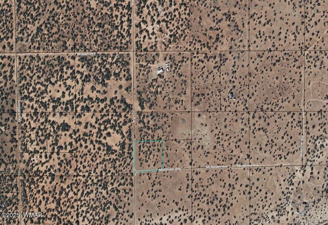 1824 Mcallister Ave, Heber, AZ 85928 - photo 3