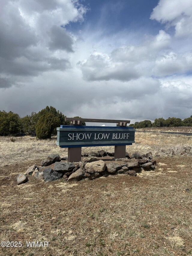 1120 S Ridgeway Place 1B Lot 89, Show Low, AZ 85901 - photo 3