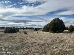 1120 S Ridgeway Place 1B Lot 89, Show Low, AZ 85901 - photo 2