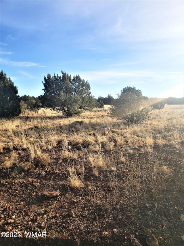 8745 Supancheck Rd, Show Low AZ, 85901 land for sale